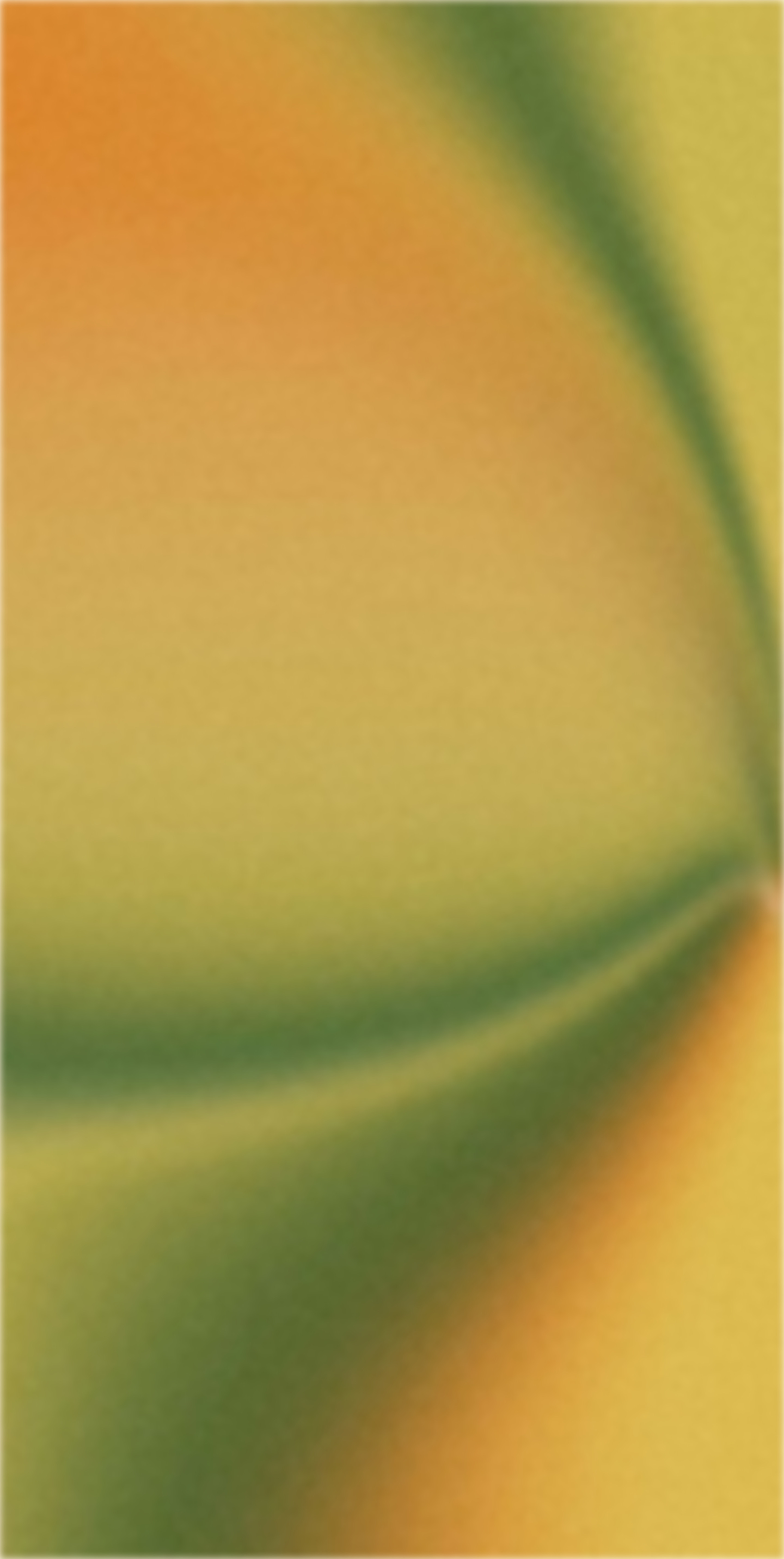 Warm abstract about background